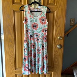 LuLaRoe Nicki dress with pockets